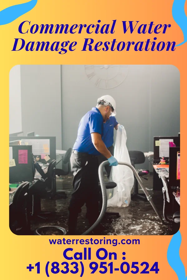 Commercial Water Damage Restoration in Mount Vista, WA