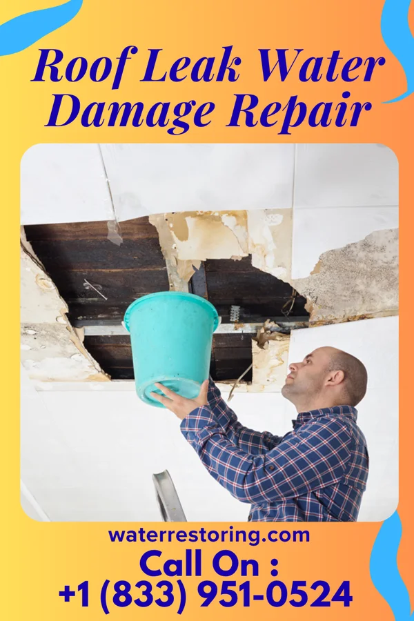 Roof Leak Water Damage Repair in Mount Vista, WA